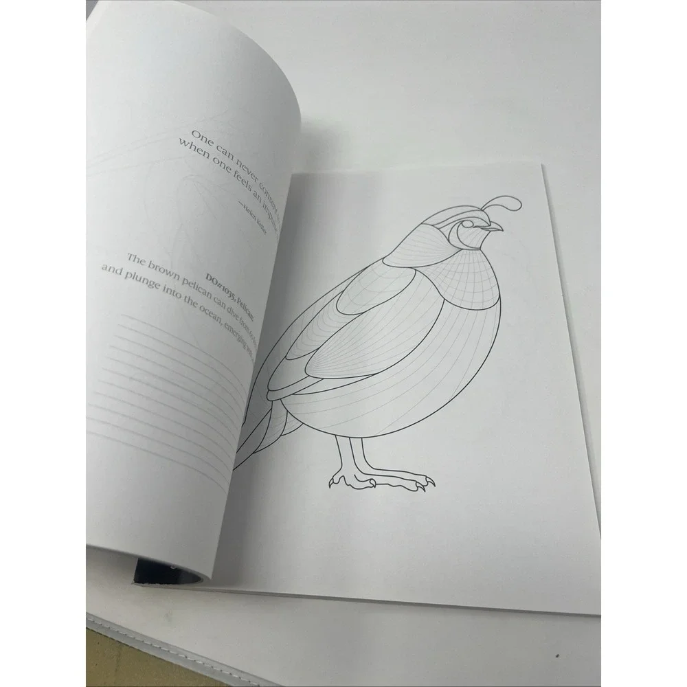 TangleEasy Birds Ben Kwok Zentangle Design Templates Coloring Art Book NEW NOS